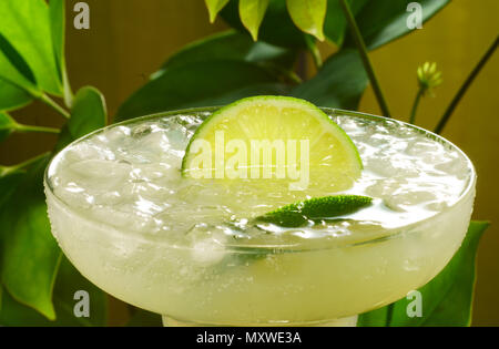Top view of a delicious Margarita cocktail with ice, salt and a peace of lime. Green plants background.  Perfect for a nice warm summer. Stock Photo