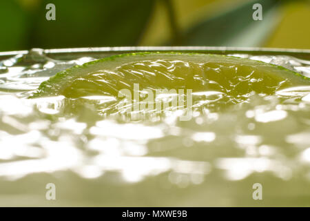 Top view of a delicious Margarita cocktail with ice, salt and a peace of lime. Green plants background.  Perfect for a nice warm summer. Stock Photo