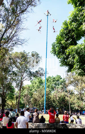 Mexico City,Polanco,Hispanic,immigrant immigrants,Mexican,Museo Nacional de Antropologia National Museum of Anthropology,indigenous Totonac,Voladores Stock Photo