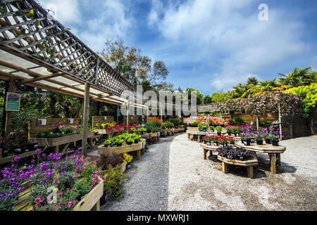 A beautiful Garden Centre in the UK. Stock Photo