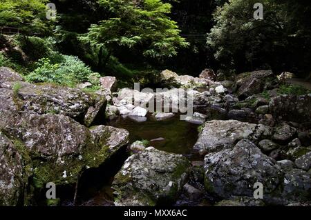 Akame 48 Waterfalls: Mysterious hiking trails, giant trees & moss covered rocks, untouched nature, lush vegetation & cascading waterfalls in Japan Stock Photo