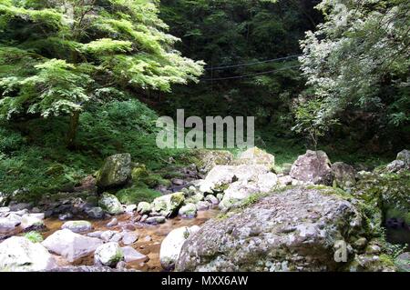 Akame 48 Waterfalls: Mysterious hiking trails, giant trees & moss covered rocks, untouched nature, lush vegetation & cascading waterfalls in Japan Stock Photo