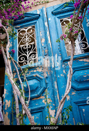 beautiful old derelict double door, bright blue flaking paintwork,classical designed paneling partially hidden between climbing flowering plants Stock Photo