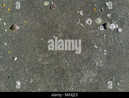 texture of old grey asbestos cement board with moss and two screws. Slate background for design with place for text. Stock Photo