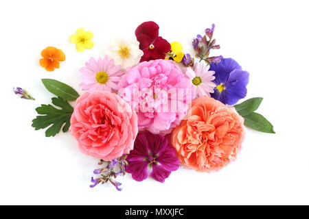 Feminine floral composition. Bouquet of edible wild and garden flowers and herbs. Old roses, sage, pansy, daisy, mallow and geranium blooms and leaves Stock Photo