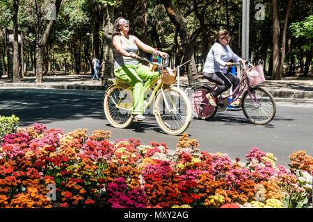 Mexico City,Hispanic Bosque de Chapultepec forest,Paseo la Reforma,Muevete en Bici,Move by Bike,car-free Sundays bicycle bicycles bicycling riding bik Stock Photo