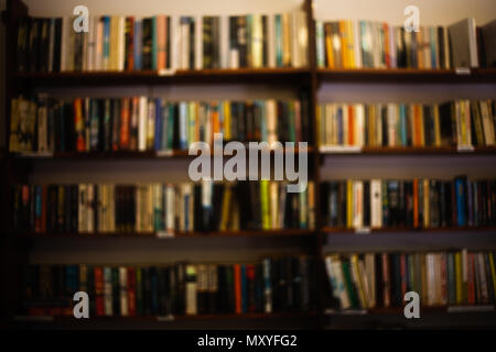 A large interior room home library with many diffirent books. Front view to wooden shelf filled with large number of books, bookshelves concept image Stock Photo