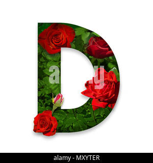 Letter D of the alphabet with red roses on white background Stock Photo
