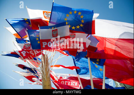 russian collection of nazi flags russian collection of nazi flags