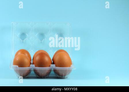 Six hen eggs in container on blue background. Stock Photo