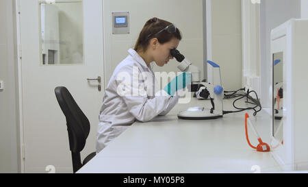 Doctor woman working a microscope. Female scientist looking through a microscope in lab. Student girl looking in a microscope, science laboratory concept Stock Photo