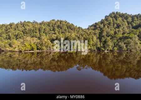 Trees reflected in Gordon River, West Coast Tasmania Stock Photo