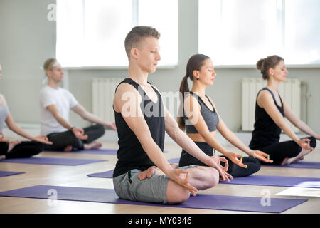 Group of young sporty people doing yoga in gym, Sukhasana exercise, Easy Seat pose, working out, indoor full length, students training in sport club, Stock Photo