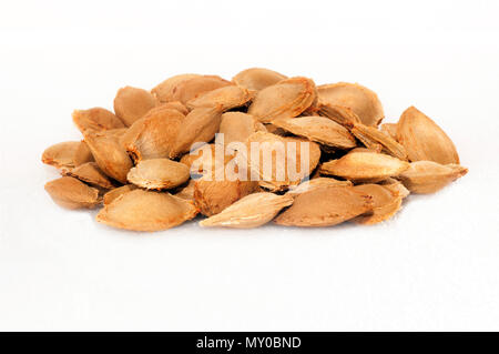 Apricot pits, isolated on white background Stock Photo