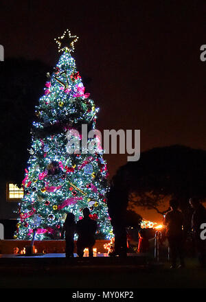 Admiring the tree hours later after 61st Air Base Group Commander, Col Charles Roberts, along with some of his little helpers flipped the switch to light the Christmas tree, near the parade grounds on Fort MacArthur, San Pedro, Calif, Nov 30, 2016. Family, friends and residents were then treated to food, toys, crafts and a visit with Santa in the community center. (U.S. Air Force photo/ Joseph M. Juarez Sr.) Stock Photo