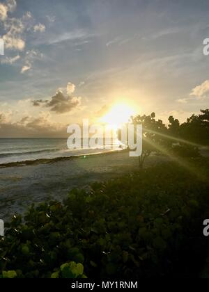 Sunset at a coastal street in Oistins, Barbados (Caribbean Island) with palm trees, beach and beautiful turquoise ocean in the background Stock Photo