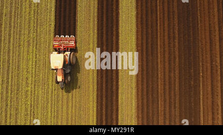 Farmer in tractor preparing land with seedbed cultivator in farmlands. Tractor plows a field. Agricultural work in processing, cultivation of land. Farmers preparing land and fertilizing. Agricultural workers with tractors. Stock Photo