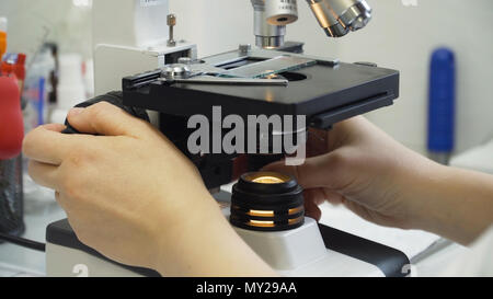 Doctor woman working with a microscope in Laboratory. Female scientist looking through a microscope in lab. Scientist using a microscope in a laboratory. Stock Photo