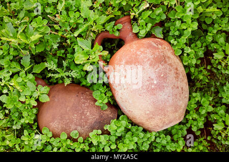 Antique clay jugs in nature surrounded by green plants. Top down view. Stock Photo
