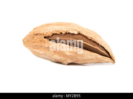 Uzbek wild almonds in shell isolated on white background Stock Photo