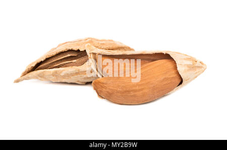Dry wild uzbek almonds on white background Stock Photo