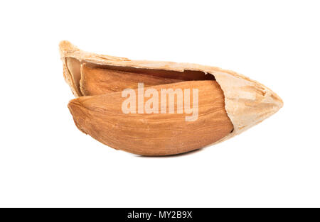 Open wild uzbek almonds isolated on white background Stock Photo
