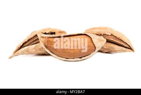 Dry wild uzbek almonds on white background Stock Photo