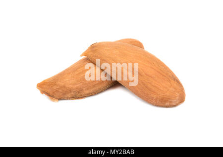 Two wild uzbek almonds without shell on white background Stock Photo