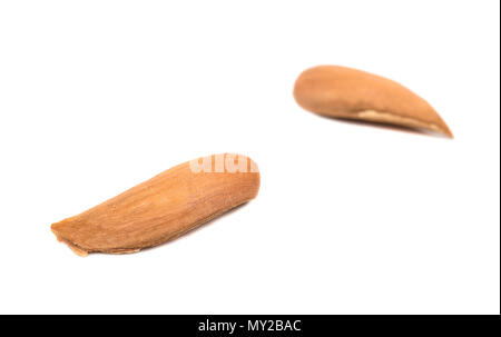 Two wild uzbek almonds without shell on white background Stock Photo