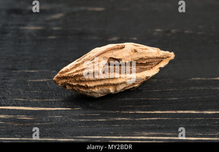 Wild uzbek inshell almonds on dark table Stock Photo