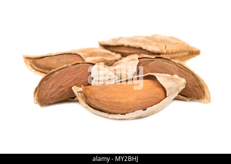 Several wild uzbek almonds on white background Stock Photo