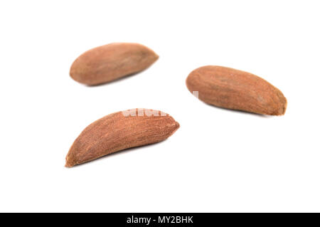 Three uzbek almonds without shell on white background Stock Photo