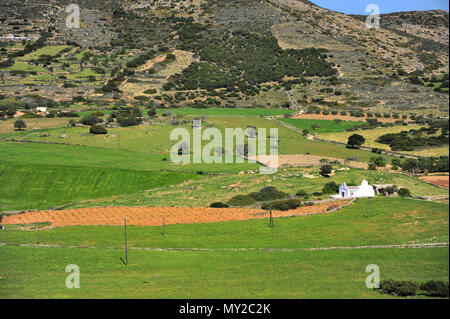 white chapel in the field, Naxos island, Greece Stock Photo