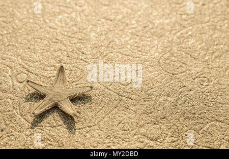 Live starfish on beach sand with beautiful pattern closeup Stock Photo