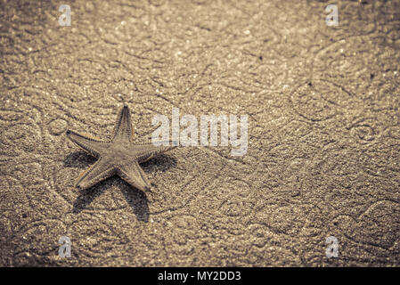 Live starfish on beach sand with beautiful pattern closeup Stock Photo