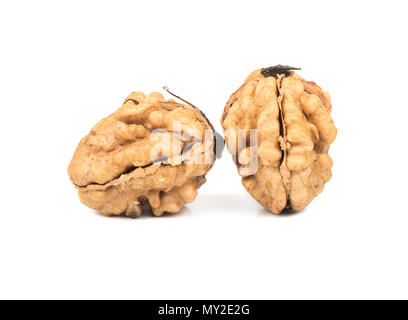 Two fresh walnuts without the shell on white background Stock Photo