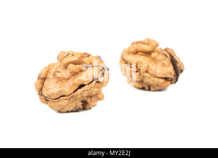 Two fresh walnuts without the shell on white background Stock Photo