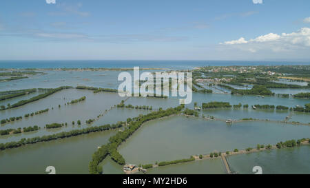 Town in cultivated mangroves, Ubagan, sto tomas. Fish farm with cages for fish and shrimp in the Philippines, Luzon. Aerial view of fish ponds for bangus, milkfish. Fish cage for tilapia, milkfish farming aquaculture or pisciculture practices. Stock Photo