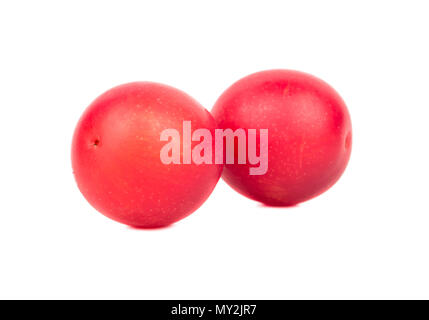 Two red cherry plums on a white background Stock Photo