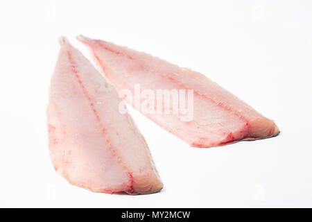Two fresh, raw mackerel fillets, S. scombrus, on a white background from a mackerel caught from Chesil beach on rod and line. Dorset England UK GB Stock Photo