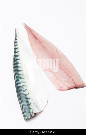A pair of fresh, raw mackerel fillets on a white background from a mackerel caught from Chesil beach in Dorset on rod and line. Picture shows  skin si Stock Photo