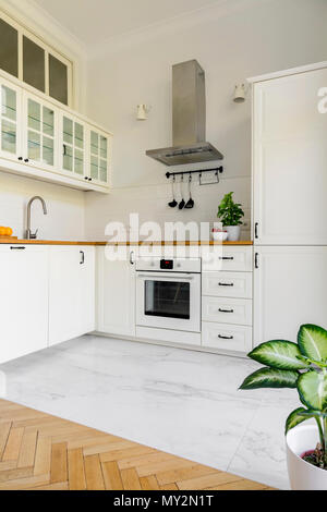 Plant in simple white kitchen interior with silver cooker hood. Real photo Stock Photo