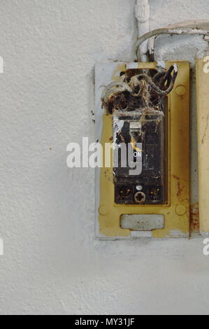 old circuit breaker cover with dust and spider net on cement waal Stock Photo