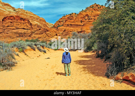 Hiker on the Three Ponds Trail in Snow Canyon State Park in Utah Stock Photo