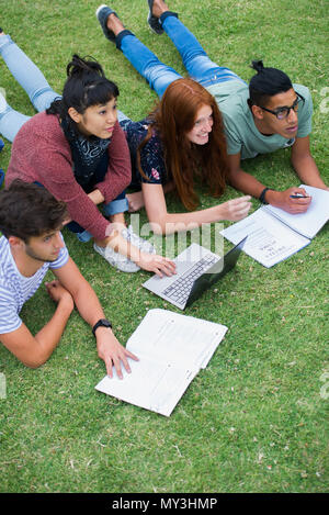 Group of college students lying on grass studying Stock Photo