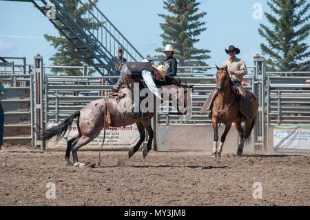 Nanton Pro Rodeo Amateur Saddlebronc rodeo competition. Nanton Nite Rodeo, Nanton ...