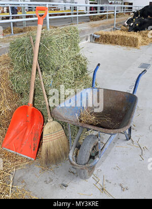 Broom Shovel and Wheelbarrow Cart in Barn at Farm Stock Photo