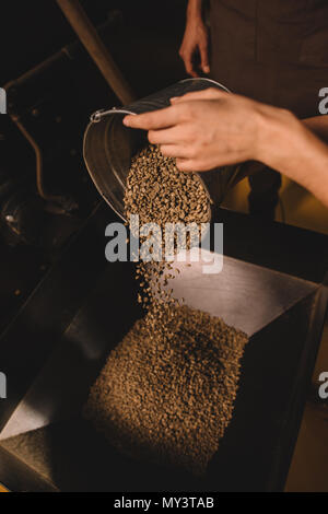 partial view of coffee roaster pouring coffee beans into roasting machine Stock Photo