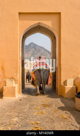 Fort Amber in Jaipur, Rajasthan Stock Photo