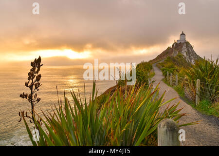 Nugget Point Lighthouse with sunrise, South Island, New Zealand Stock Photo
